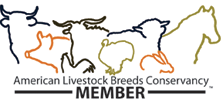 American Livestock Breeds Conservancy Member